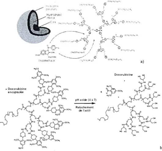 Figure  Il. Libération  contrôlée d'Indométhacine et  de  Doxorubicine encapsulées à partir de  systèmes  dendritiques (Tirée ou  adaptée des  réfs  75  et 77)