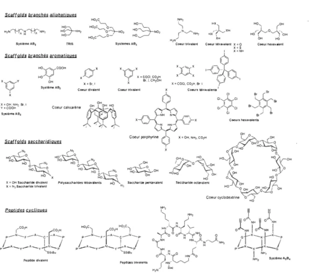 Figure 23.  Scaffolds communs  utilisés  pour  la  synthèse de  glycoclusters  et  de  glycodendrimères