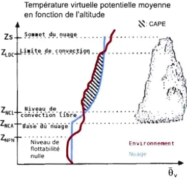Figure  1.1  Schéma  du  profil  vertical  d'un  sondage  représentant  l'environnement  ainsi  qu'un  nuage en  ascension  - tiré  du  livre  de  R.B