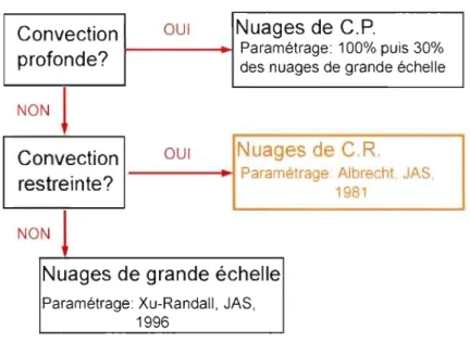 Figure  2.1  Physique  dans  le  MRCC  pour  le  schéma  des  nuages  et  sa  dépendance  au  schéma de  convection