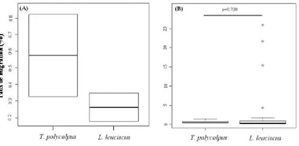 Fig. 4 : Diagramme en boîte représentant le taux de migration par génération calculé pour chaque espèce avec le  logiciel  BAYESASS