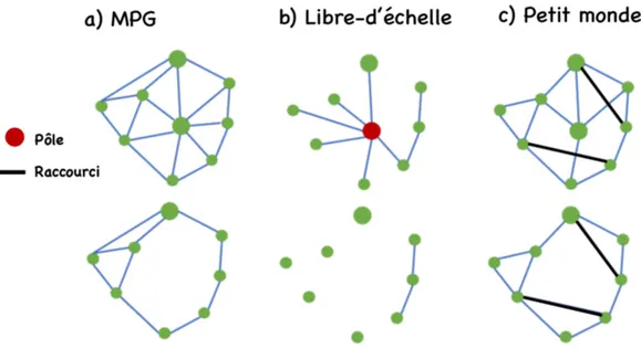 Figure  1.  Illustration  de  topologies  d’un  réseau simple,  le  graphe  planaire  minimum  (MPG)  et  de  deux  réseaux  complexes,  le  graphe  libre-d’échelle  et  le  graphe  du  petit  monde, ainsi que de leur changement potentiel de connectivité s