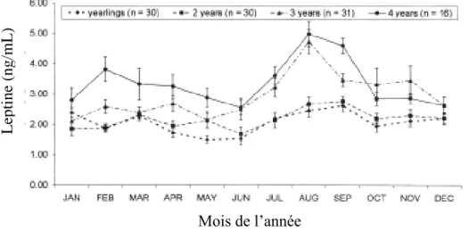 Figure  13  :  Evolution  des  concentrations  plasmatiques  de  leptine  (en  ng/ml)  au  cours  de  l’année  et  en  fonction  de  l’âge,  chez  des  juments  lipizzans  (d’après  Cebulj  Kadunc  et  al.,  2009)