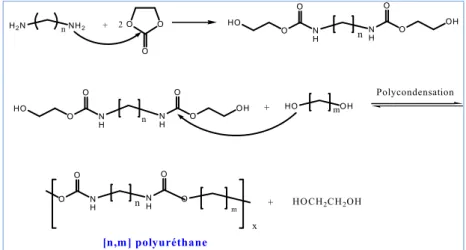 Figure I-13: Préparation de polyuréthanes linéaires sans isocyanates en deux étapes.  