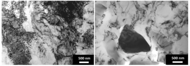 Fig. 5. The material L with lower silicon content: the eutectic colonies formed during casting (left) and  par-tially recovered dislocation substructure after annealing to 200 ◦ C (right).
