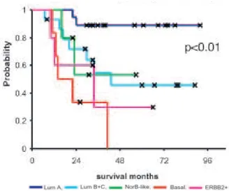 Figure 8. Courbes de survie associées aux différents sous-types moléculaires de cancer du sein