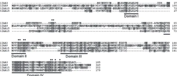 Fig. 1 Sequence comparison of SlIAA15 protein and its homologues in Arabidopsis and tomato (Solanum lycopersicum)