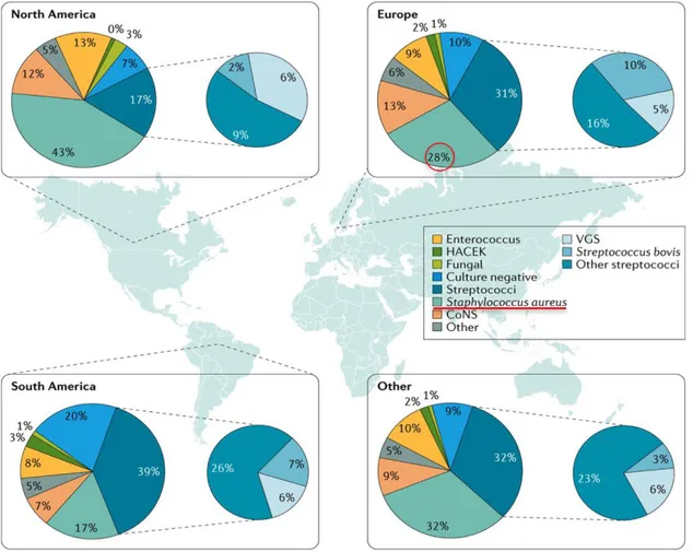 Figure 9 : Epidémiologie mondiale des Endocardites Infectieuses (d'après Holland et al