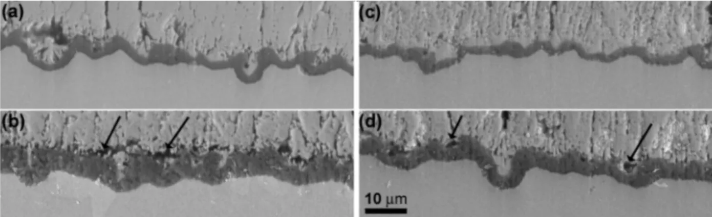 Figure 2 SEM micrographs in SE mode of the oxide layer of the samples: (a) A10, (b) A50, (c) M10 and (d) M50