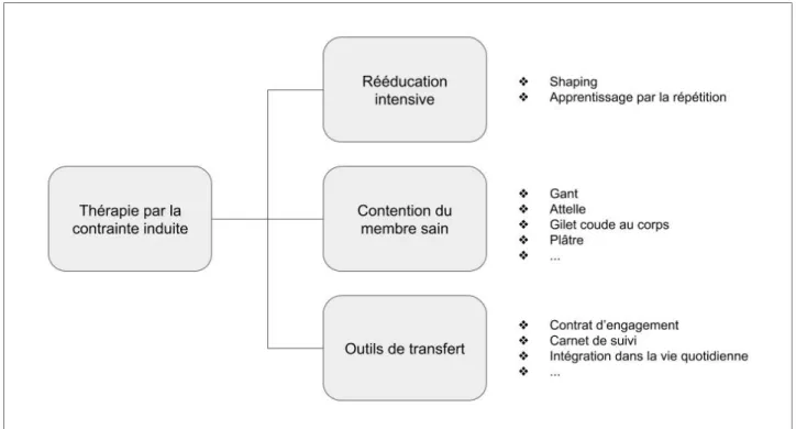 Illustration 2: Les trois composantes de la thérapie par la contrainte induite