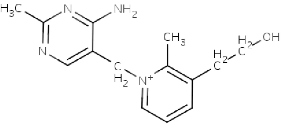 Figure 7 : structure chimique de la pyrithiamine (d’après Technische Universität  Braunschweig) 