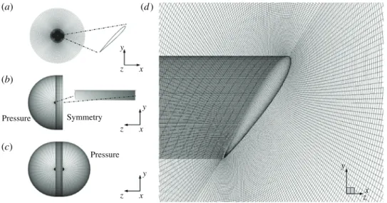 Figure 4 compares the numerical and experimental non-dimensional out-of-plane vorticity contours and in-plane velocity vectors obtained in a spanwise plane at the beginning of the 7th stroke