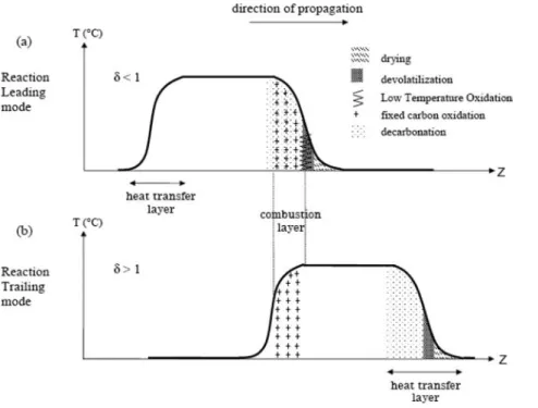 Figure 1. Probable localization of the diﬀerent reaction zones in the (a) leading and (b) trailing modes.