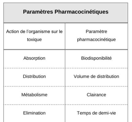 Tableau 6 : Association des paramètres pharmacocinétiques aux processus physiologiques  impliqués