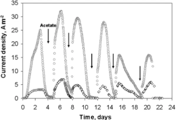Fig. 3 shows the low scan cyclic voltammograms (CVs) recorded when the current density was a maximum for the four electrodes (day 5 to 6 depending on the electrode)
