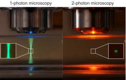 Figure 0.12  Comparaison de la uorescence au point focal en microscopie 1-photon et 2- 2-photons