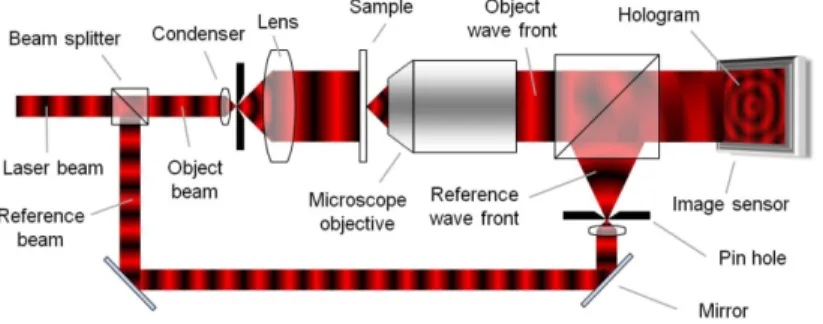 Figure 0.21  Schéma simplié d'un microscope holographique numérique. Image adaptée de [102].