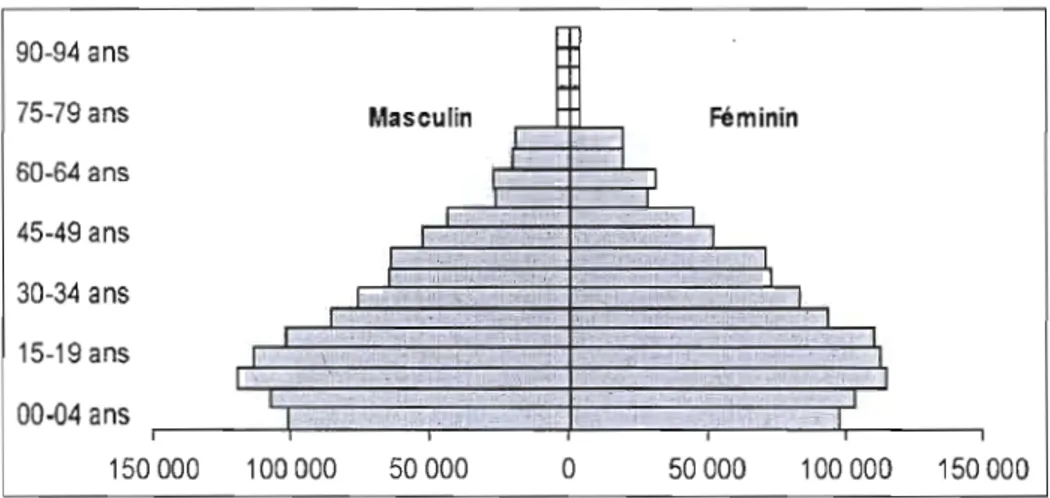 Figure 1.3  : Pyramide des âges de la population de la région de Meknès-Tafilalet  90-94  ans 