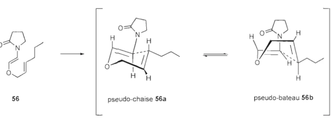 Figure 4.2.  Possibles états de  transition  lors  du  réarrangement de  la  B-allyloxyénamide 56 