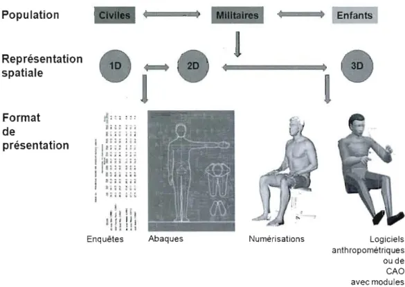 Figure 3.5  : L'offre anthropométrique 