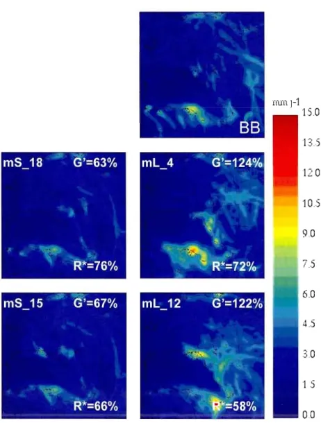 Figure  9  Small-scale  transient-eddy  component  of  the  precipitation  rate  simulated  by  BB  (upper panel), LB of 106 by  106  grid-points (Ieft  column) and LB  of 190  by  190 grid­