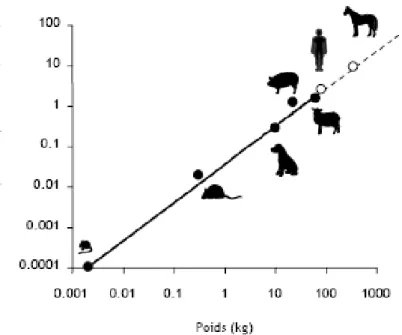 Figure  3 :  Relation  allométrique  (log-log)  entre  le  poids  et  la  clairance  plasmatique  du  BPA  chez  5  espèces  de  mammifères (●, souris, rat, chien, porc et mouton) et extrapolation à l’Homme et au cheval (○)