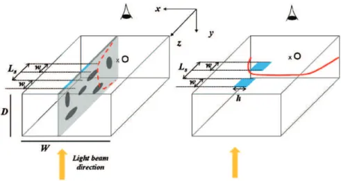 Fig. 1. Geometry and notations. The two slits are schematized in blue. In the case of synthetic image sequences (left), the ﬂowing particles, i.e