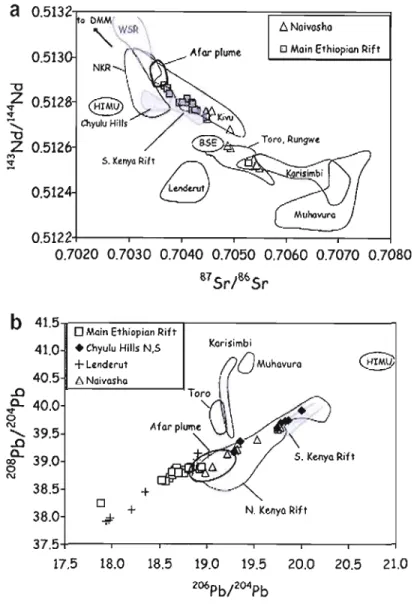 Figure 2 : Variations des  isotopes radiogéniques dans  les  laves du  Rift  Africain