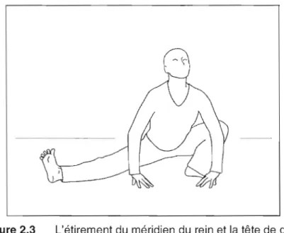 Figure 2.3  L'étirement du  méridien  du  rein  et la tête de  grue. 