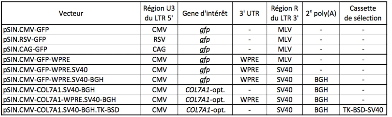 Tableau 2. Plasmides codants pour les vecteurs rétroviraux SIN.