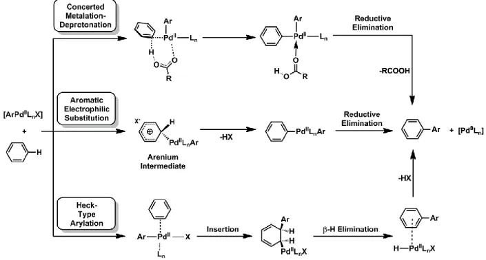 Figure 2 : The three most widely-proposed mechanisms for direct arylation.  