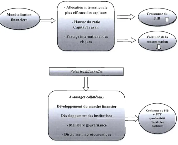 Figure 7 : Les avantages de l'intégration financière 