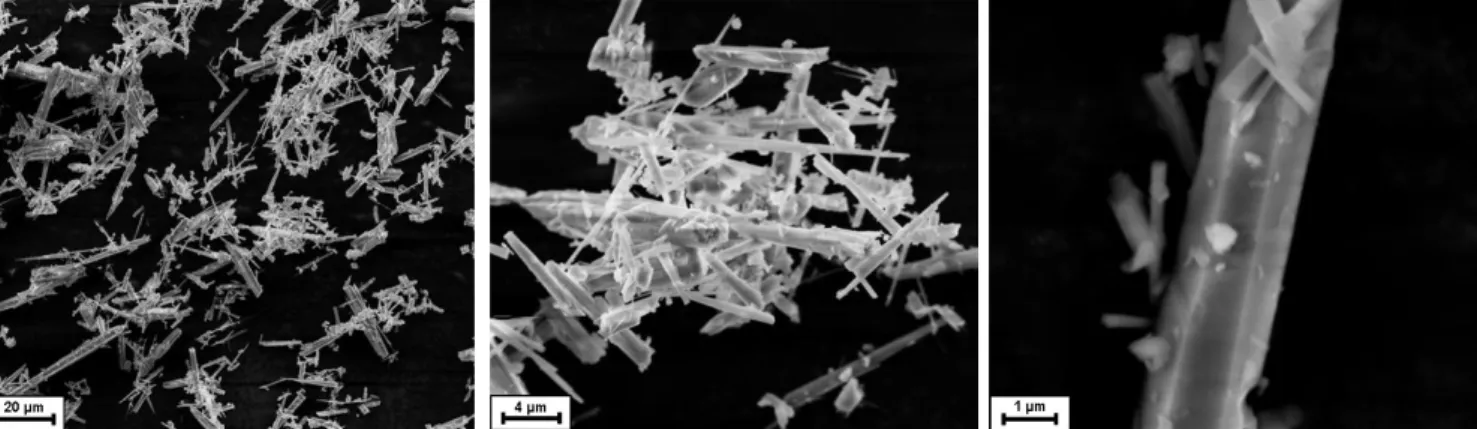 Figure VI.156 : Micrographies obtenues par microscopie électronique à balayage (MEB) sur l’échantillon H75% 