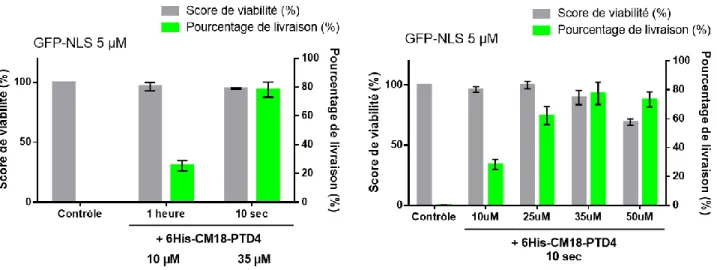 Figure 26 - Temps d'incubation et dose-réponse de livraison de GFP-NLS en cellules HeLa 