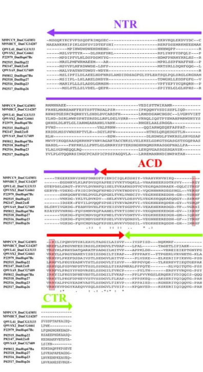 Figure 1.5 Multiple sequence alignment of full length of DmHsp22 with sHsps from other  organisms 