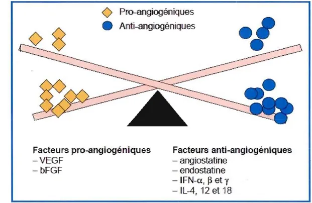Figure  4:  La  balance  entre  les  facteurs  activateurs  et  inhibiteurs  lors  du  processus  de  l'angiogenèse