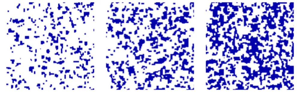 Figure 2.7 – Melt ponds as metastable islands of like spins in a random field Ising model.[35]