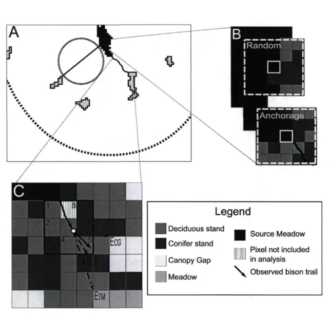 Fig. 1. Methodological design used to evaluate mechanisms of functional connectivity for plains  bison in a meadow network