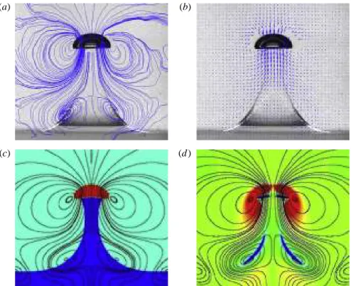 Figure 12 displays PIV and computational determinations of the flow pattern around the bubble at the time when the entrained volume reaches its maximum.