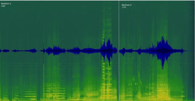 Figure 1 – Spectrogramme de Kumquat 