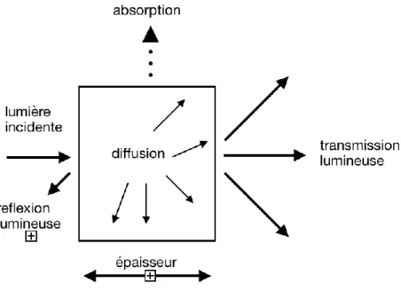 Figure 6 : schéma des interactions de la lumière avec un matériau 
