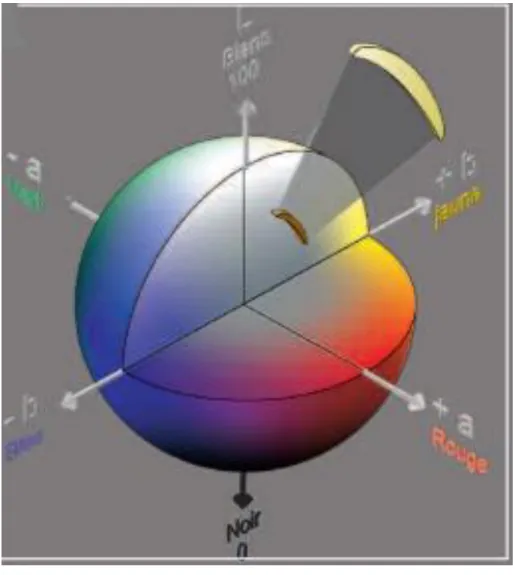 Figure 10 : espace colorimétrique CIELab [36] 