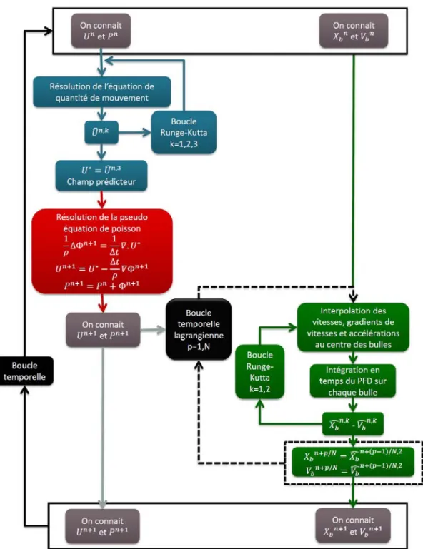 Figure 2.5  Schéma récaptitulatif de l'algorithme de résolution utilisé dans Jadim dans le cas de la dispersion passive des bulles.