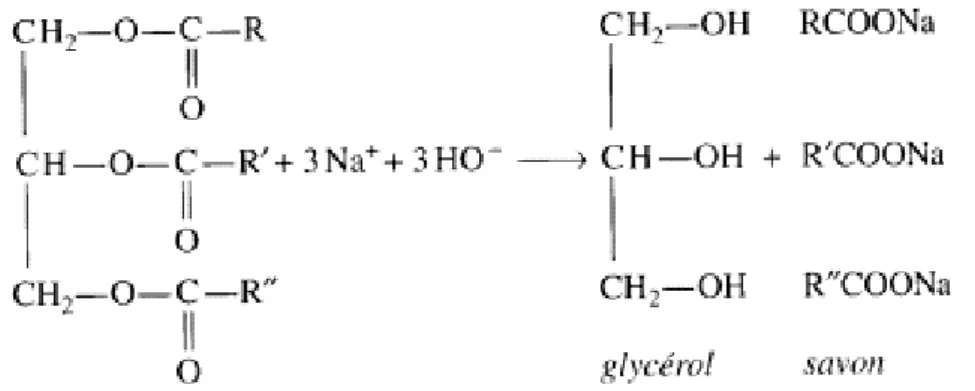 Figure 5 : Schéma de la réaction générale de saponification 2