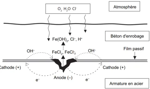 Figure 1.5: Mécanisme de la corrosion électrochimique en présence des ions chlorure, d'après Duval (1992).