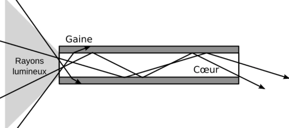 Figure 1.14: Propagation des rayons lumineux à travers une bre optique multimode.