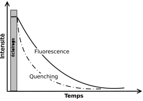 Figure 1.19: Esquisse illustrant comment l'extinction entraîne une réduction de la durée de vie de la uorescence.