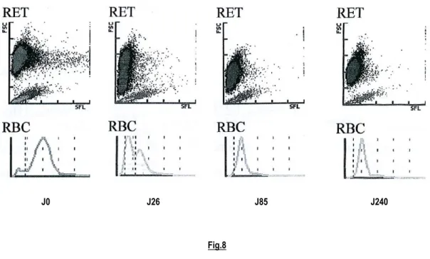 Figure 8 : Cas n°=4, Erythrogrammes de suivi suite à une cholangio-hépatite. On note la rémission complète sans aucun signe persistant