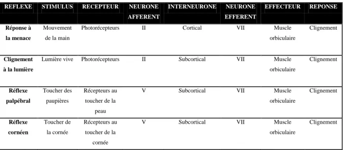 Tableau 1- Réflexes de clignement  (adapté de Miller, 2007) 