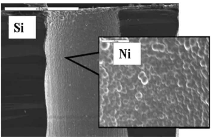 Fig. 16 Electroless Ni current collector on perforated silicon substrate.